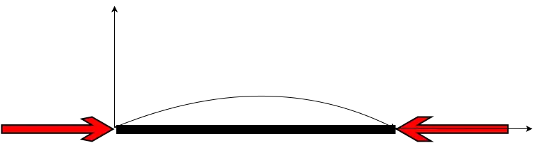 Poutre en flambement sous l'effet de 2 forces de compressions opposées 
  
    
      
        
          
            F
            →
          
        
      
    
    {\displaystyle {\overrightarrow {F}}}