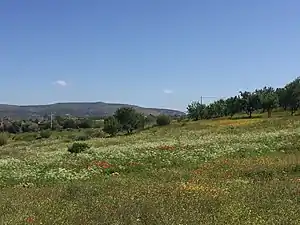 À 2 km d'Ouzoud au moyen Atlas au Maroc