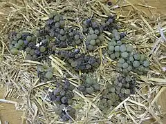 Raisins séchés traditionnellement sur un lit de paille durant une durée légale de six semaines.