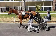 Photo de Dominik Locqueneux sur un sulky dirigeant Bazir Dimanche, un cheval à la robe bai portant le numéro 3. Un homme marche à leur côté pour les assister en rentrant aux box.