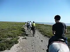 Promenade sur une draille