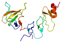 Image illustrative de l’article NCK2