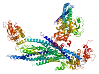 Image illustrative de l’article STAT5