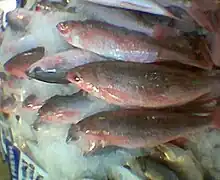 Pterocaesio capricornis.