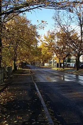 Image illustrative de l’article Puiestee tänav