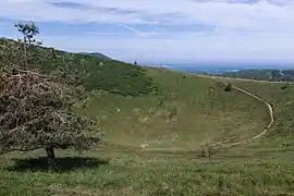 Vue est du cratère du puy Pariou.