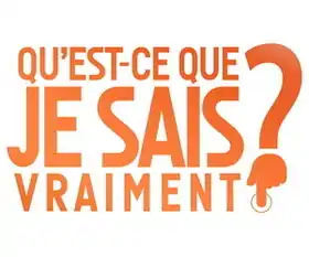 Logo de la version française.