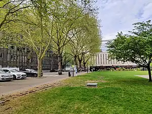 Le long de Queen's Lawn