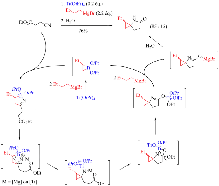 Réactions de Kulinkovich-Szymoniak à partir de cyanoesters