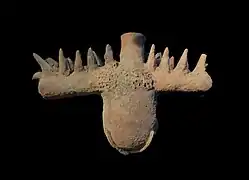 Récipient kulok-kulok destiné à guérir les maux de dos.