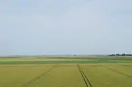 La baie de l'Aiguillon à Saint-Michel-en-l'Herm, au sud.