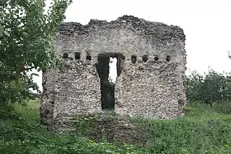 Genilac : le siphon de la Durèze