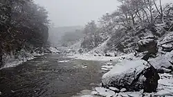 Le río Olivia en hiver.