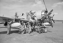 Republic P-47 Thunderbolt du 81e escadron de la Royal Air Force à Kemayoran en 1945-46