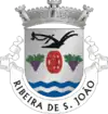 Blason de Ribeira de São João