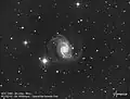 NGC1566 réalisée par un télescope amateur RC250 F8.