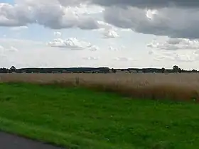 Rączki (Varmie-Mazurie)