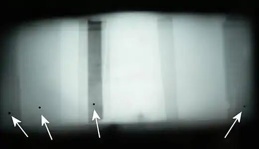 Radiographie sur chant ; les trous de passage dans les cloisons sont rehaussés en noir.