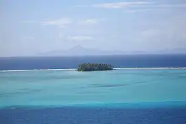 Récif barrière côté lagon, avec un motu.