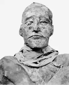 Ramsès III