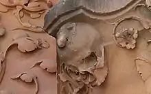 Crapaud sur un crâne : façade de l'Université de Salamanque