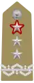 Insigne pour général de division ayant des fonctions supérieures