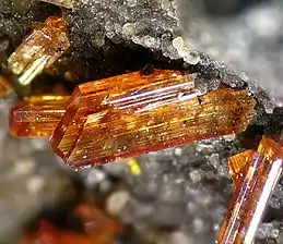 Image illustrative de l’article Raspite