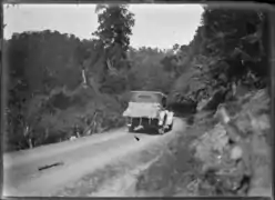 Vue d'une voiture dans le bush près de Motu vers 1920.