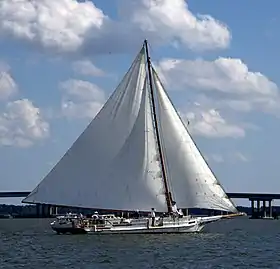 illustration de Rebecca T. Ruark