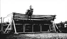 Image illustrative de l’article Huaso (cheval)