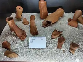 Image illustrative de l’article Antinum