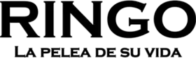 Image illustrative de l’article Ringo (série télévisée)
