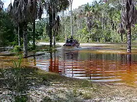 Maroa (municipalité)