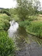 La Bourne entre Laverstock and Bishopsdown.