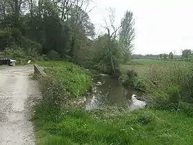 Image illustrative de l’article Corve