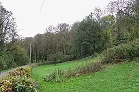 Flanc du vallon de la Fure au lieu-dit Châteaubourg.