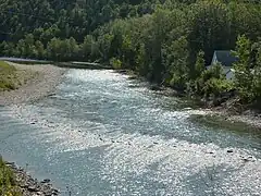 Une rivière sur un lit de gravier entourée de forêts