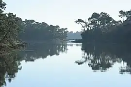 La rivière de Pont-l'Abbé, dans le sud-ouest.