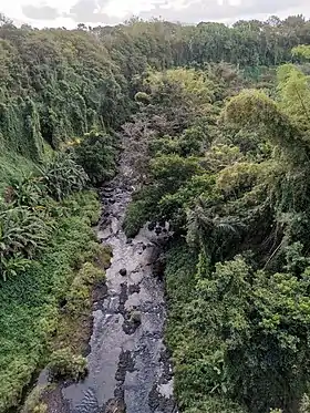 Rivière-des-Anguilles