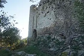 Image illustrative de l’article Rocca di Montauto