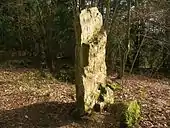 Menhir de la Roche Piquée