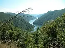 photographie couleurs : une rivière dans un paysage de forêt
