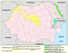Le roumain comme langue officielle, seul ou avec d'autres langues.