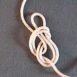 et revient se nouer dans le nœud de base.