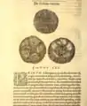Chapitre sur les oursins réguliers de l'Histoire des poissons de Guillaume Rondelet (1554)