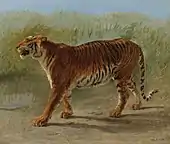 Tigre royal en marche, Rosa Bonheur.