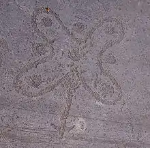 Rosa Camuna - Val Camonica