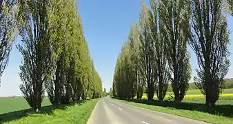 La rue Camille-Rogez.