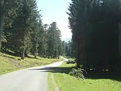 Entrée dans la forêt du Différend, avec une pente d'environ 7 %.