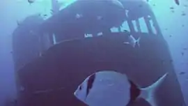 Un sar devant la passerelle